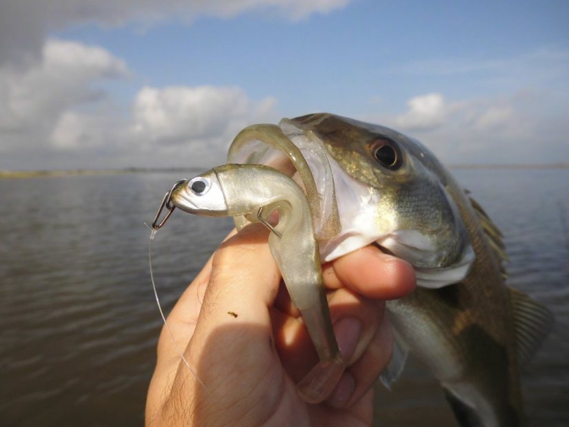Nudos imprescindibles y fáciles para el pescador – El blog de Casa Pintat